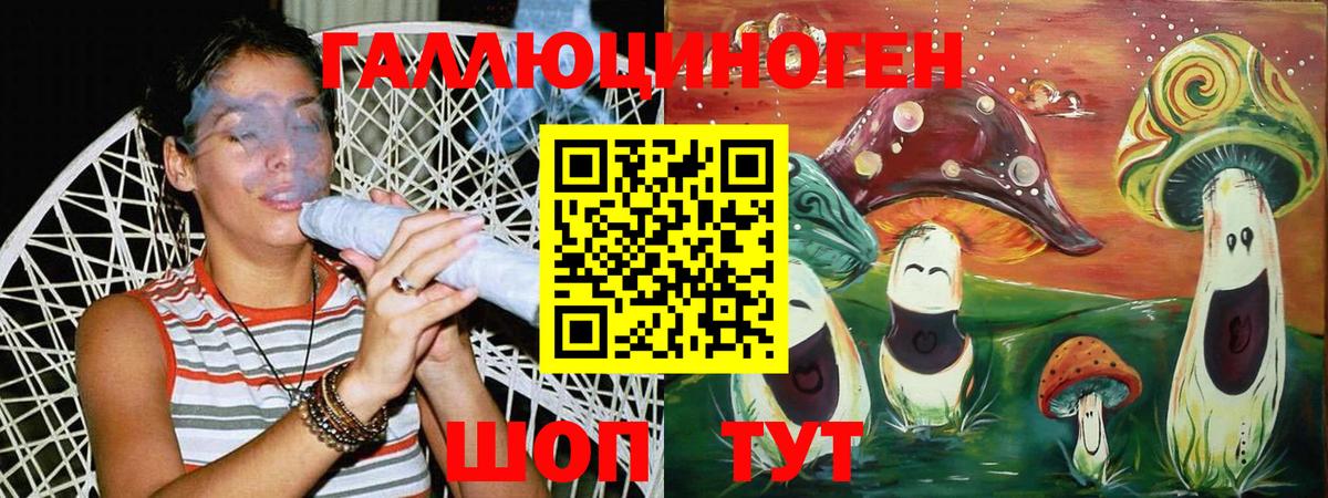 Галлюциногенные грибы прущие грибы  Псилоцибиновые грибы MAGIC MUSHROOMS  Алексеевка  Вход с VPN 