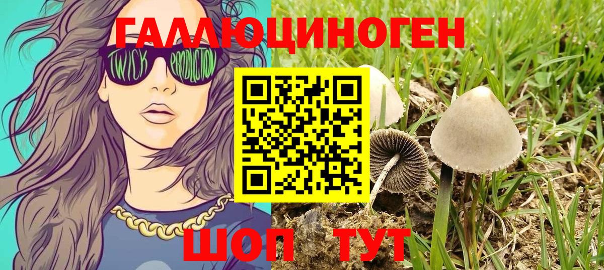 Псилоцибиновые грибы мухоморы Алексеевка